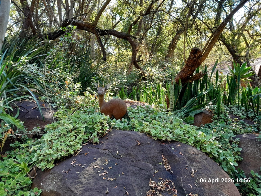 4 Bedroom Property for Sale in Pretoria North Gauteng