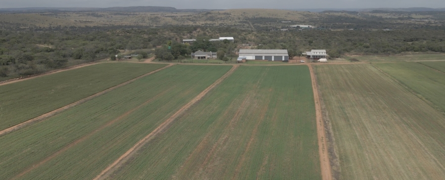 Commercial Property for Sale in Byenespoort Gauteng