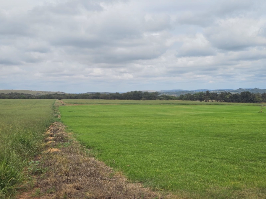 Commercial Property for Sale in Byenespoort Gauteng