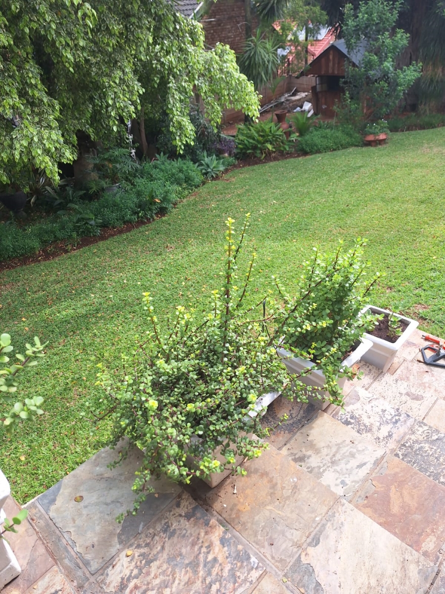 3 Bedroom Property for Sale in Amandasig Gauteng