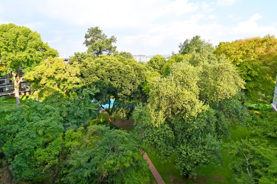 2 Bedroom Property for Sale in Atholl Gauteng