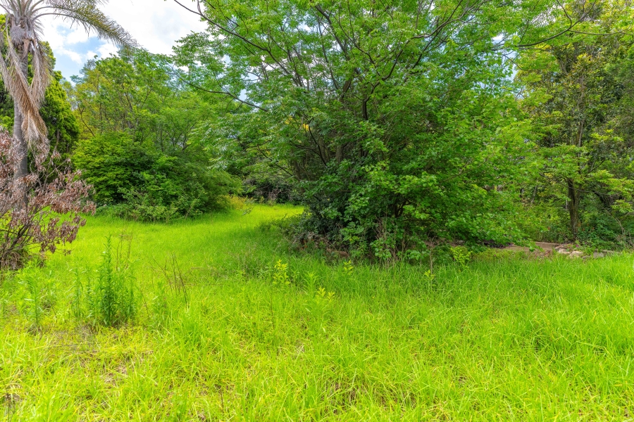 5 Bedroom Property for Sale in Bryanston Gauteng