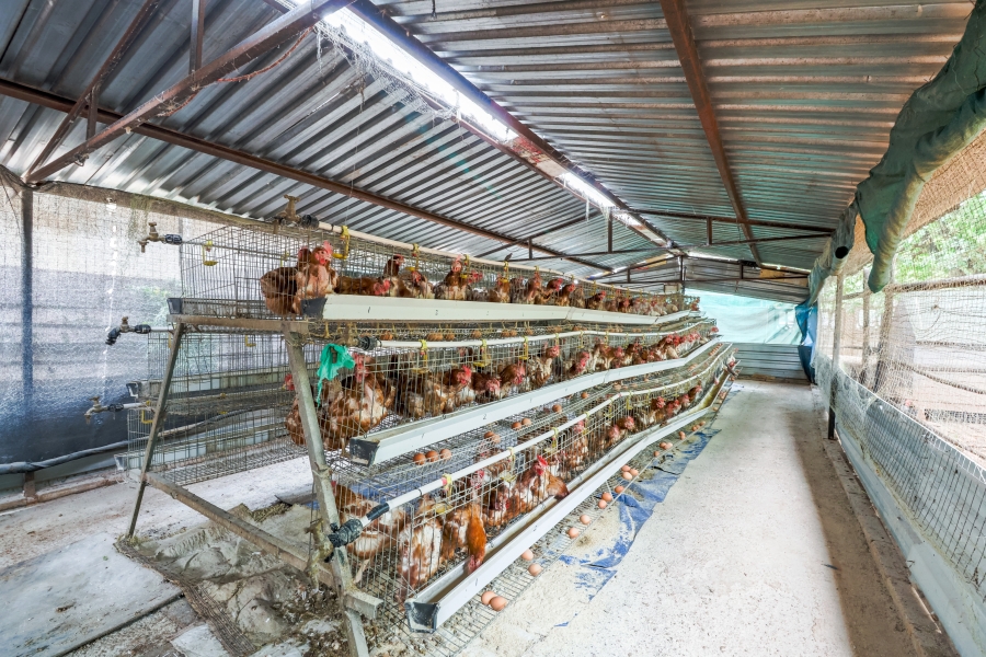 8 Bedroom Property for Sale in Doornkloof Gauteng