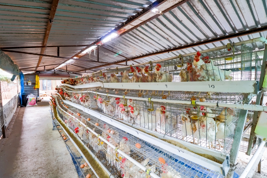 8 Bedroom Property for Sale in Doornkloof Gauteng