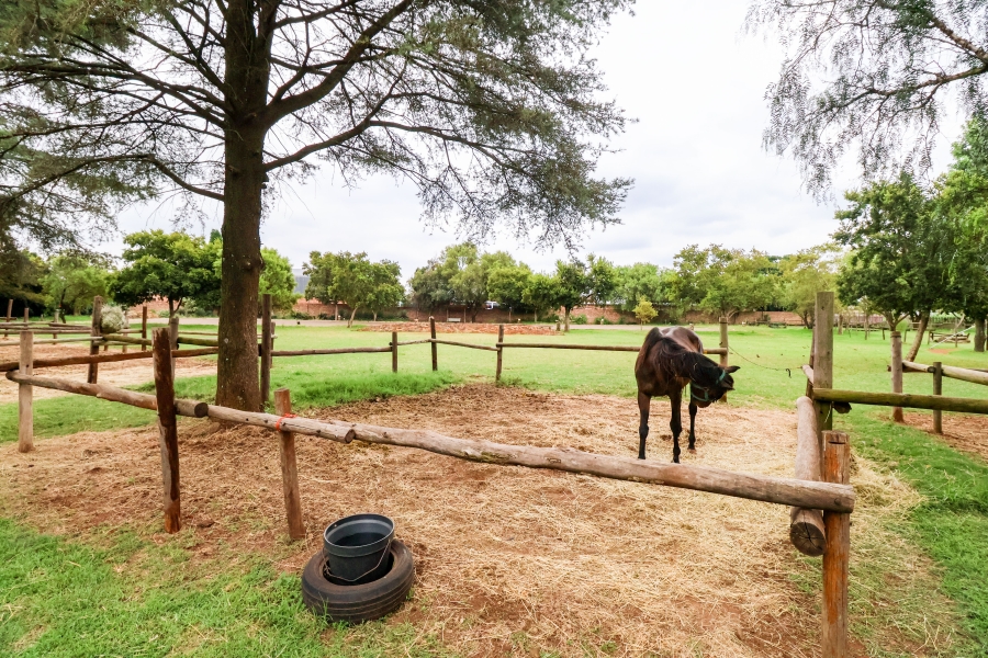 8 Bedroom Property for Sale in Doornkloof Gauteng