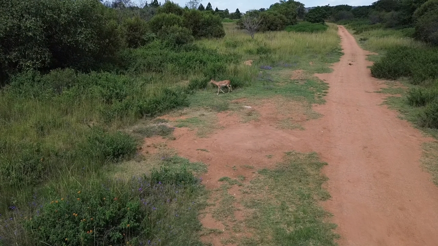 0 Bedroom Property for Sale in Roodepark Eco Estate Gauteng