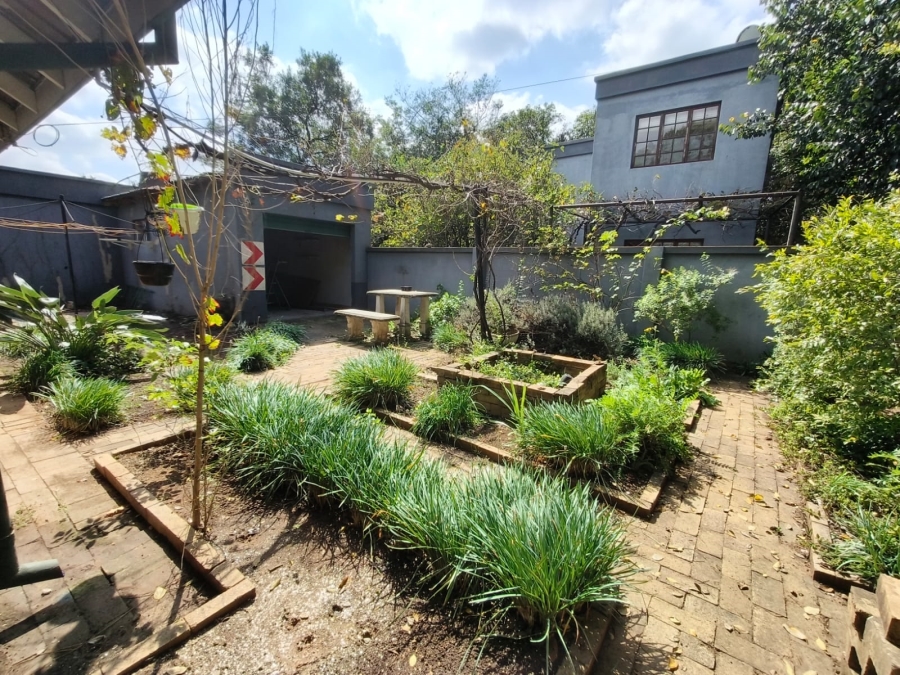 To Let 3 Bedroom Property for Rent in Three Rivers Gauteng