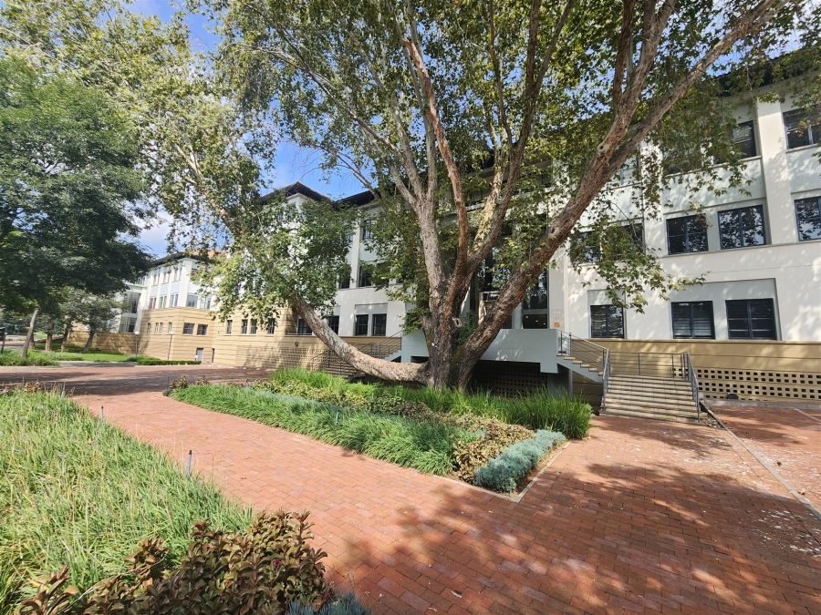 To Let Commercial Property for Rent in Barlow Park Gauteng