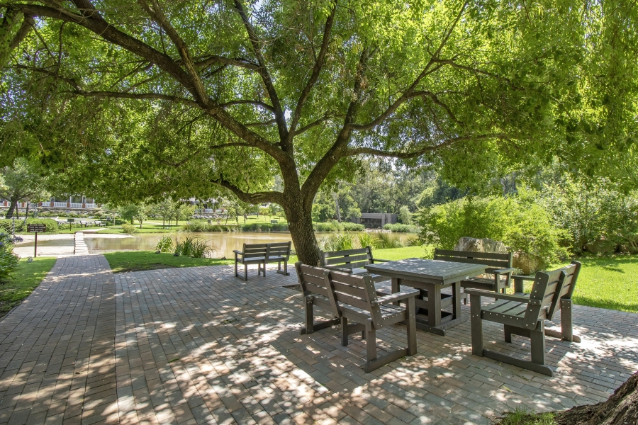 0 Bedroom Property for Sale in Douglasdale Gauteng