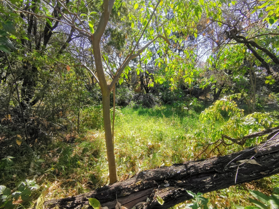 0 Bedroom Property for Sale in Bryanston Gauteng