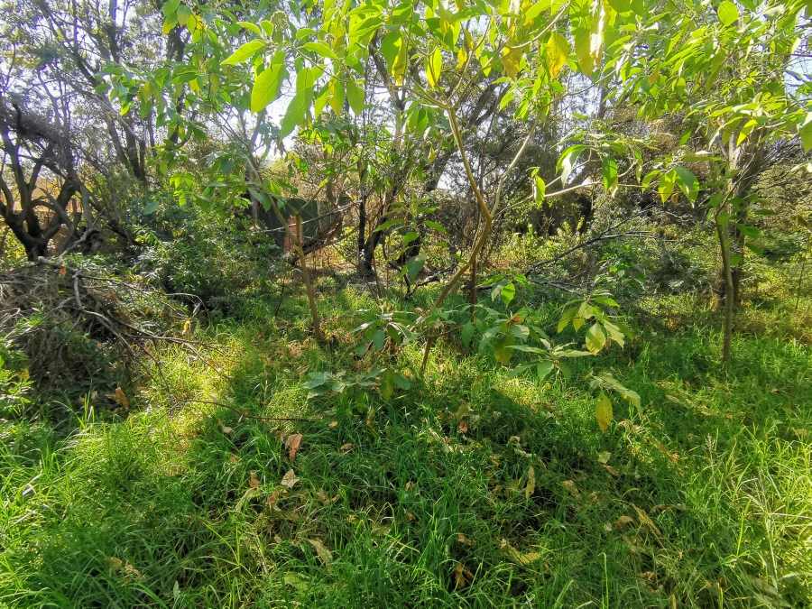 0 Bedroom Property for Sale in Bryanston Gauteng