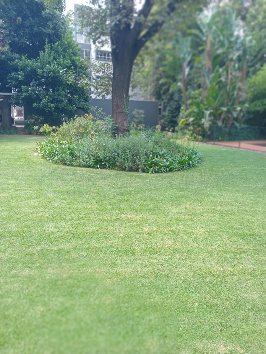 To Let 2 Bedroom Property for Rent in Illovo Gauteng