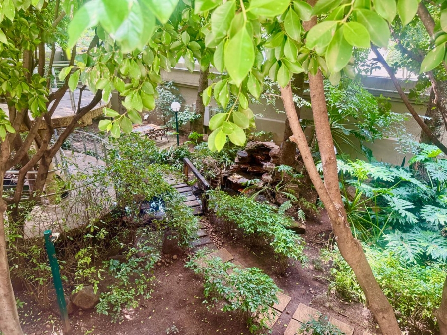 To Let 3 Bedroom Property for Rent in Morningside Gauteng