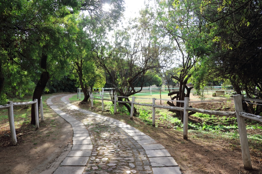 3 Bedroom Property for Sale in Doornrandje Gauteng