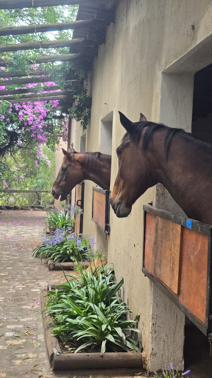 3 Bedroom Property for Sale in Doornrandje Gauteng