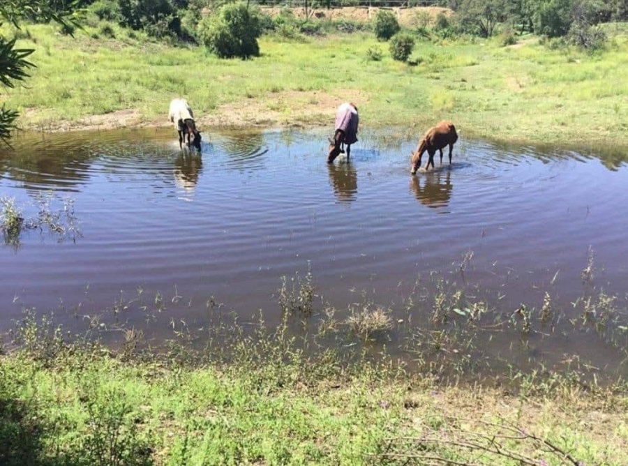 3 Bedroom Property for Sale in Doornrandje Gauteng