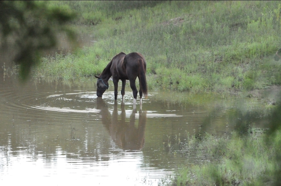 3 Bedroom Property for Sale in Doornrandje Gauteng