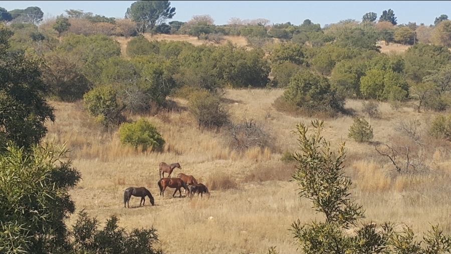 3 Bedroom Property for Sale in Doornrandje Gauteng