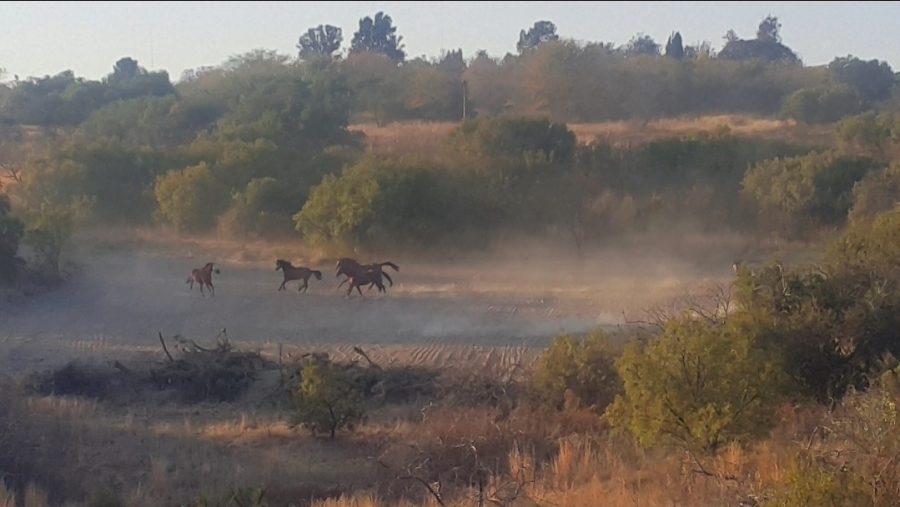 3 Bedroom Property for Sale in Doornrandje Gauteng