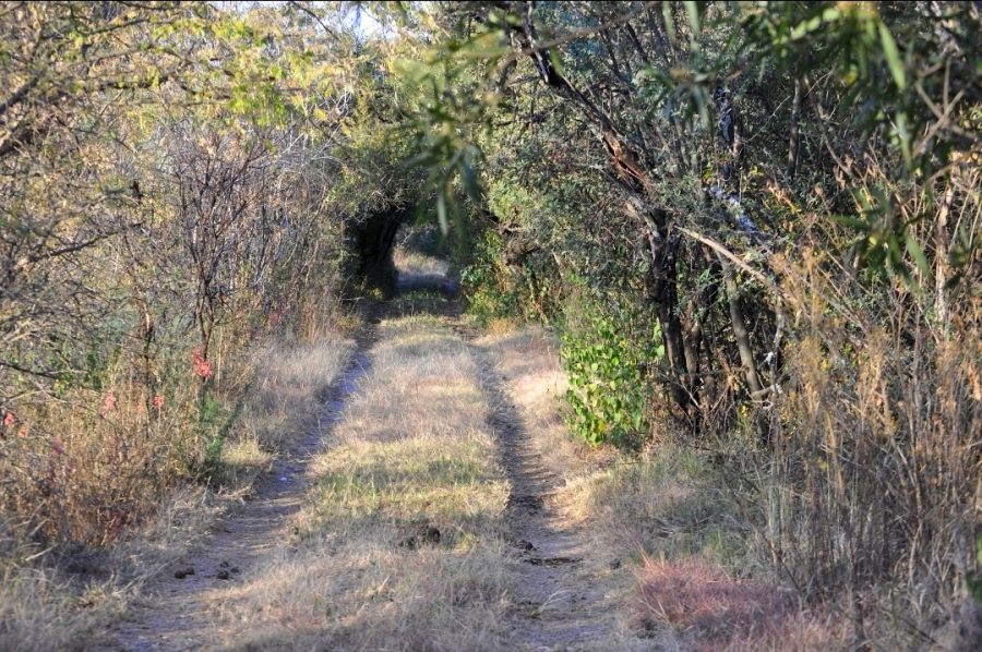 3 Bedroom Property for Sale in Doornrandje Gauteng