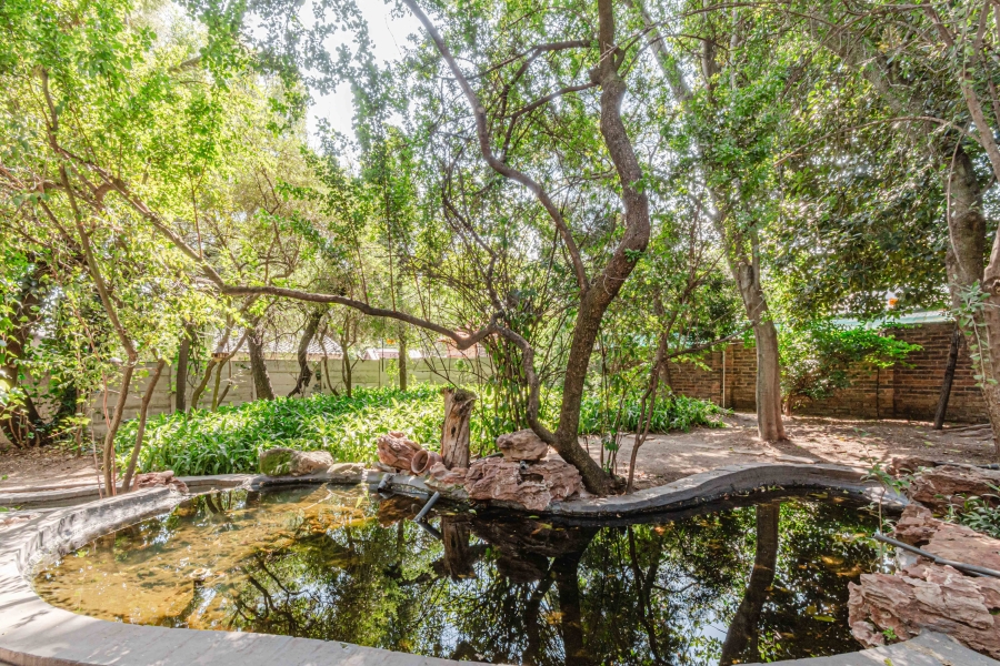 To Let 3 Bedroom Property for Rent in Fourways Gauteng