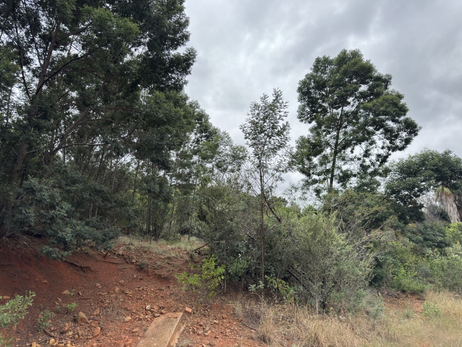 0 Bedroom Property for Sale in Faerie Glen Gauteng