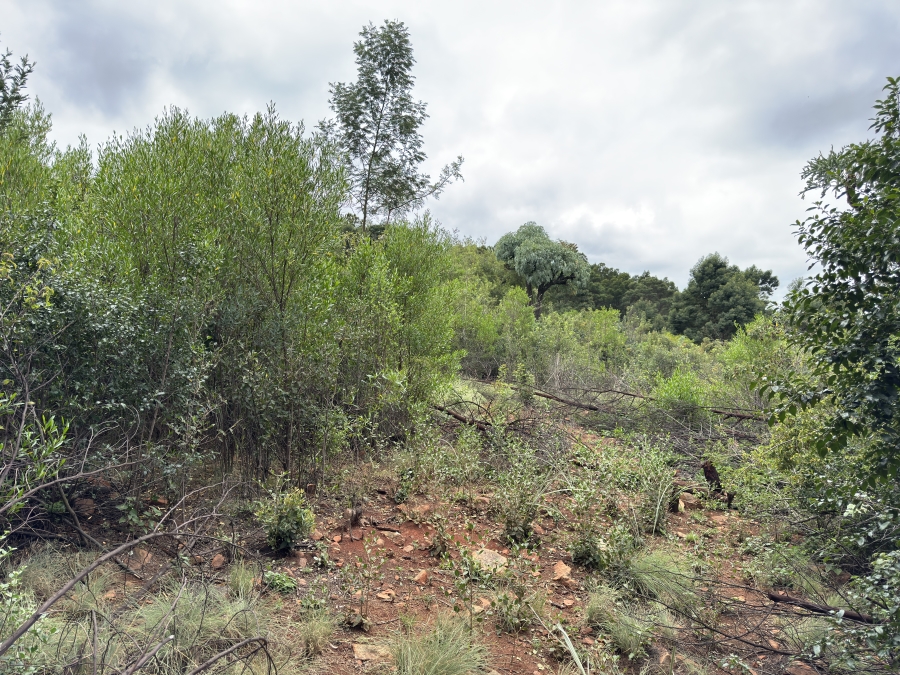 0 Bedroom Property for Sale in Faerie Glen Gauteng