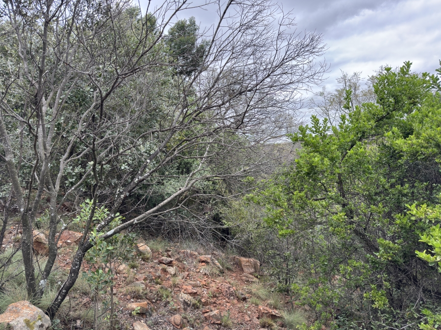 0 Bedroom Property for Sale in Faerie Glen Gauteng