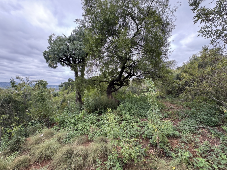 0 Bedroom Property for Sale in Faerie Glen Gauteng