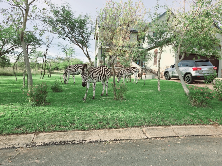 0 Bedroom Property for Sale in Waterlake Farm Lifestyle Estate Gauteng
