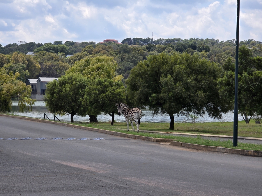 0 Bedroom Property for Sale in Waterlake Farm Lifestyle Estate Gauteng