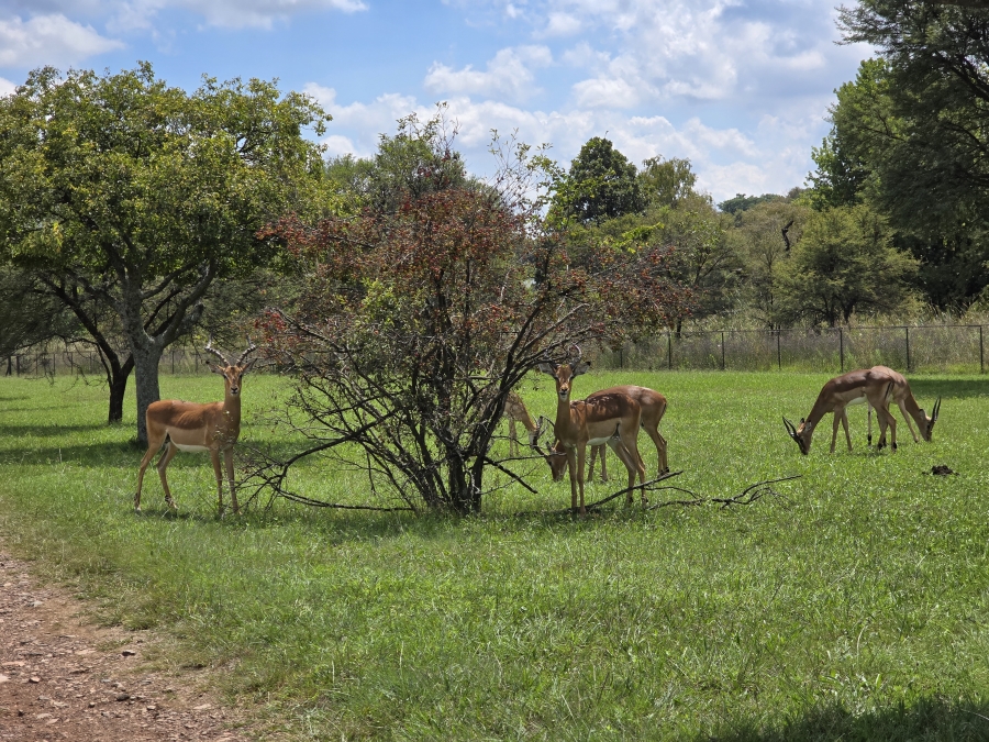 0 Bedroom Property for Sale in Waterlake Farm Lifestyle Estate Gauteng