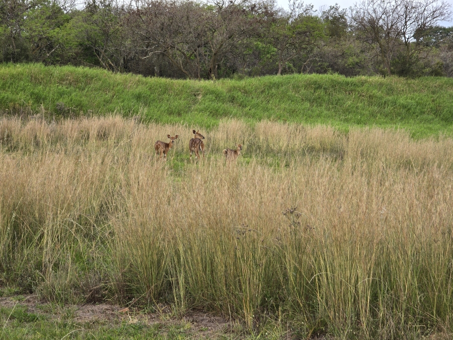 0 Bedroom Property for Sale in Waterlake Farm Lifestyle Estate Gauteng