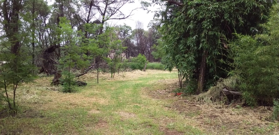 5 Bedroom Property for Sale in Benoni AH Gauteng