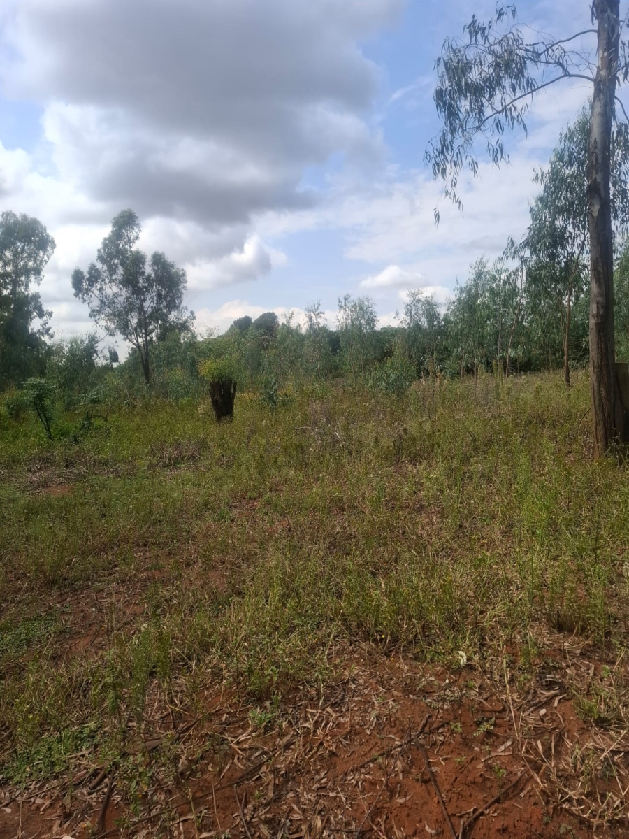 0 Bedroom Property for Sale in Benoni AH Gauteng