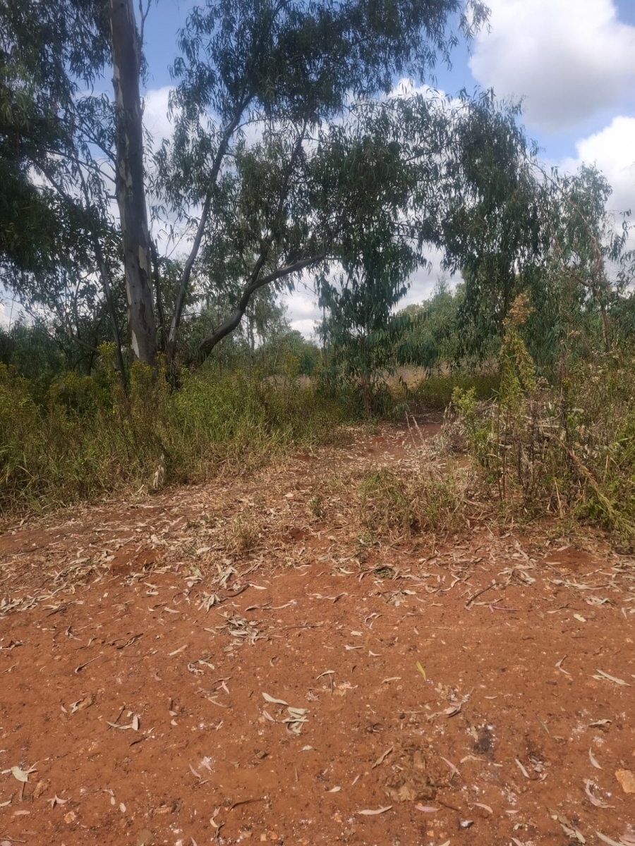 0 Bedroom Property for Sale in Benoni AH Gauteng