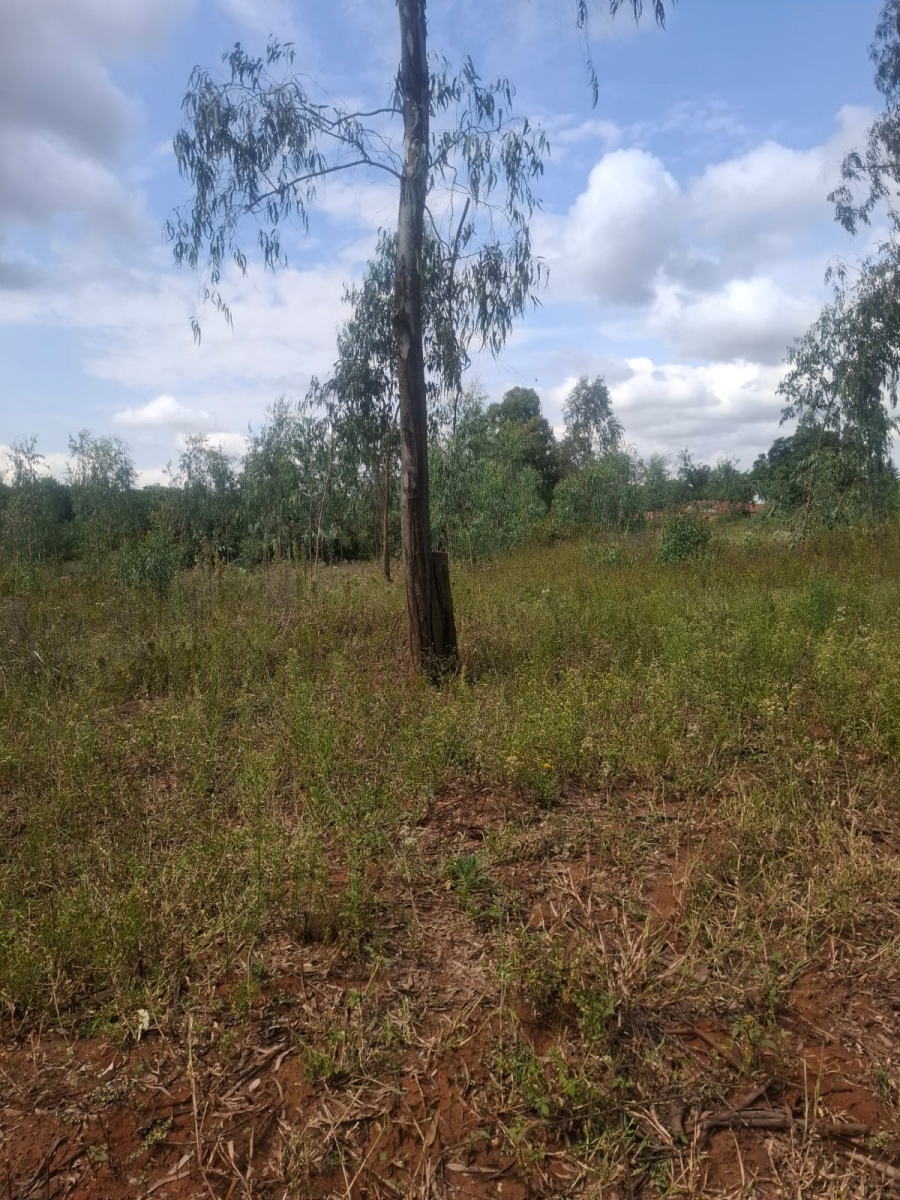 0 Bedroom Property for Sale in Benoni AH Gauteng