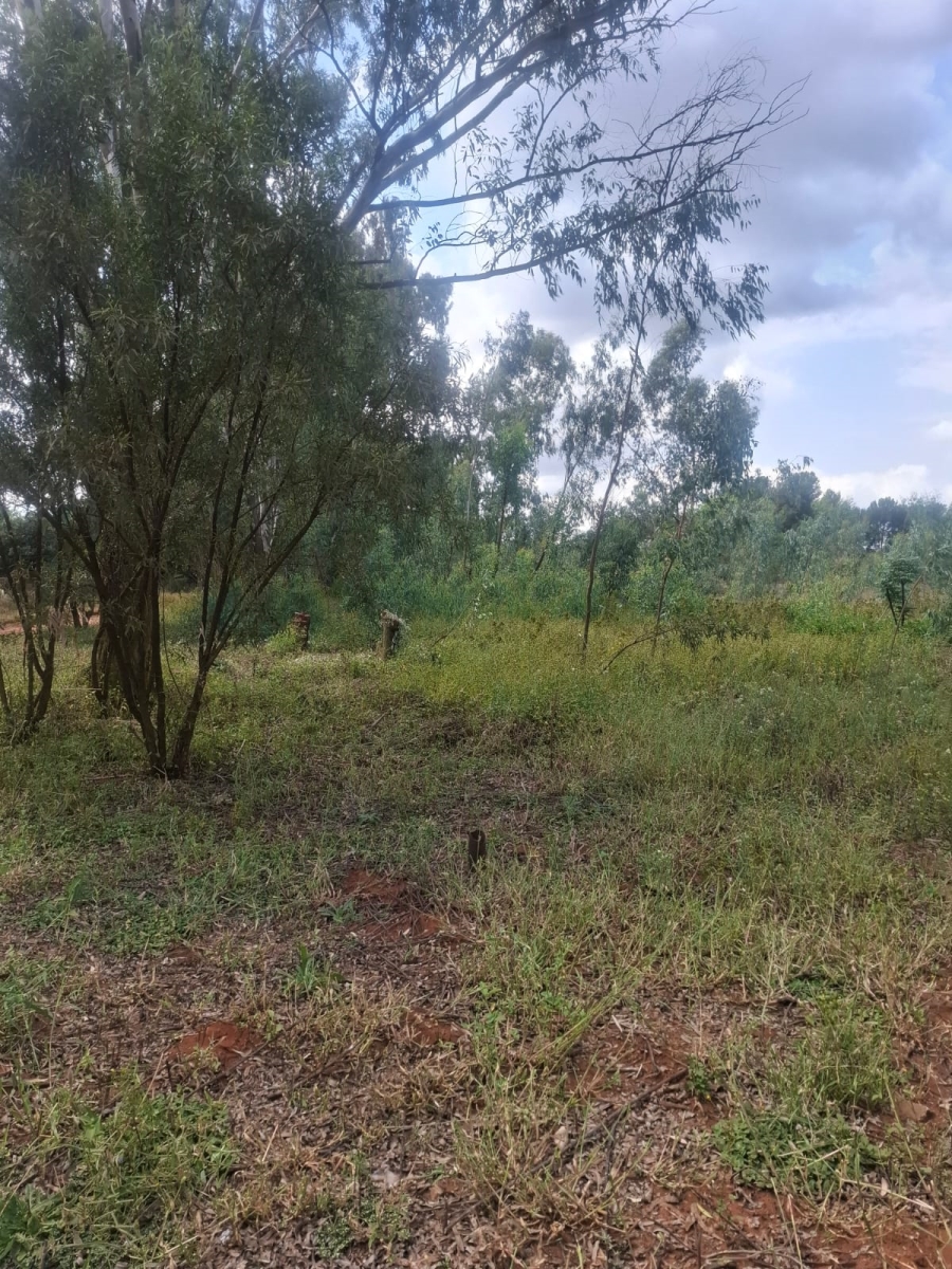 0 Bedroom Property for Sale in Benoni AH Gauteng