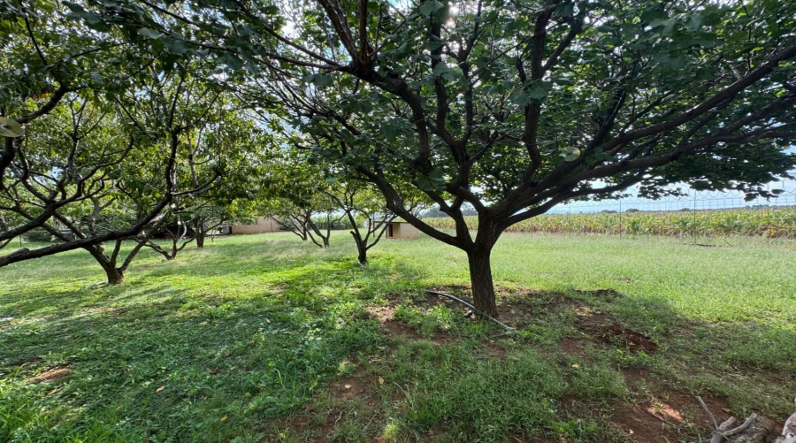 4 Bedroom Property for Sale in Agricultural Holding 464 Gauteng