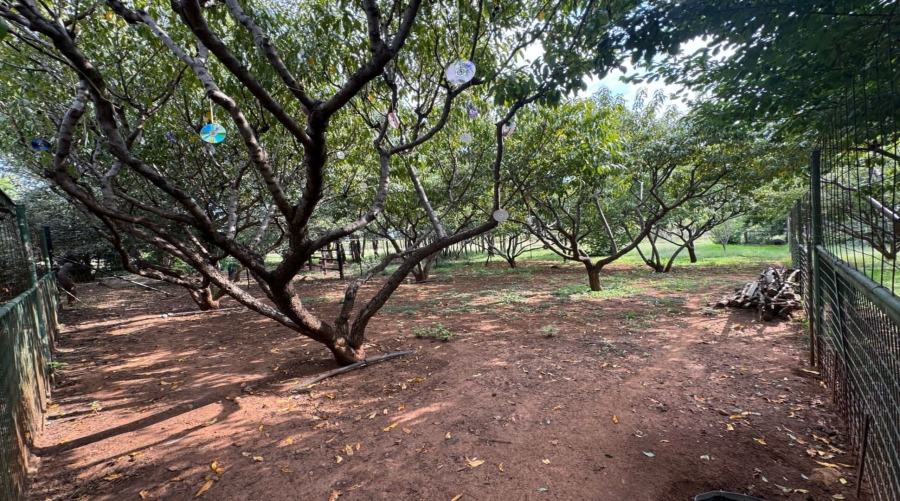 4 Bedroom Property for Sale in Agricultural Holding 464 Gauteng