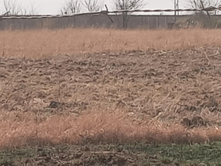 0 Bedroom Property for Sale in Mullerstuine Gauteng