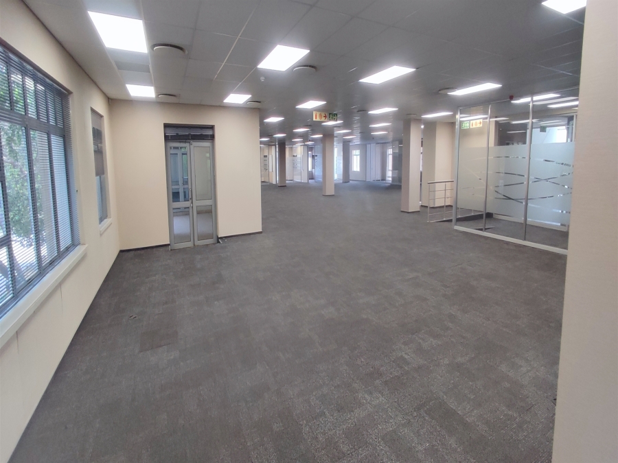 To Let Commercial Property for Rent in Illovo Gauteng