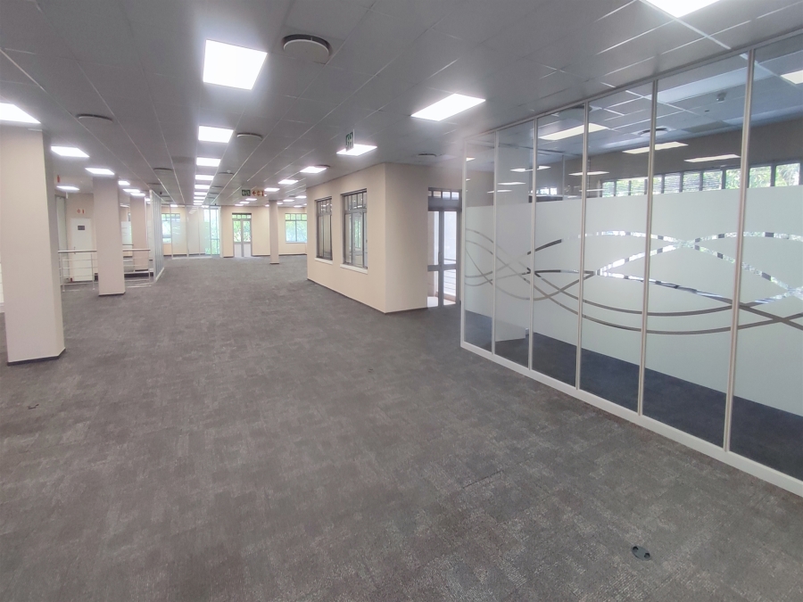 To Let Commercial Property for Rent in Illovo Gauteng
