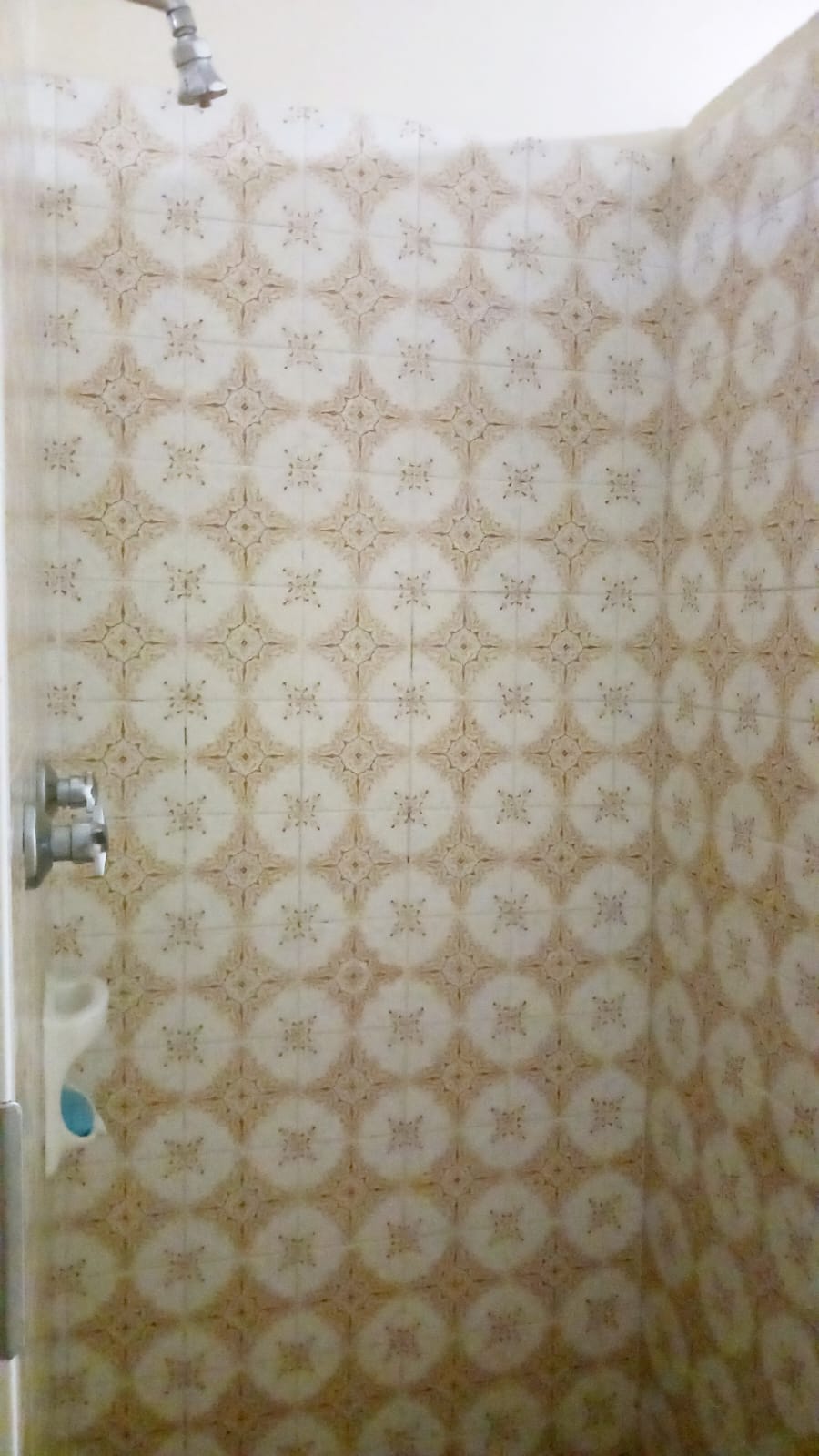 To Let 4 Bedroom Property for Rent in Windsor West Gauteng