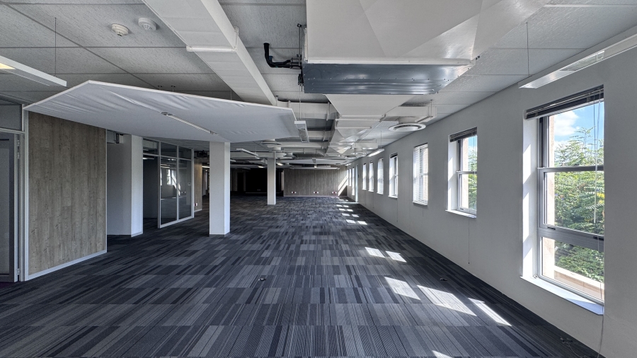 To Let Commercial Property for Rent in Illovo Gauteng