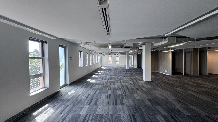 To Let Commercial Property for Rent in Illovo Gauteng