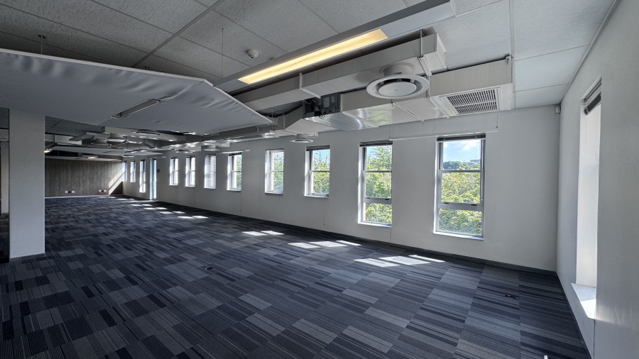 To Let Commercial Property for Rent in Illovo Gauteng