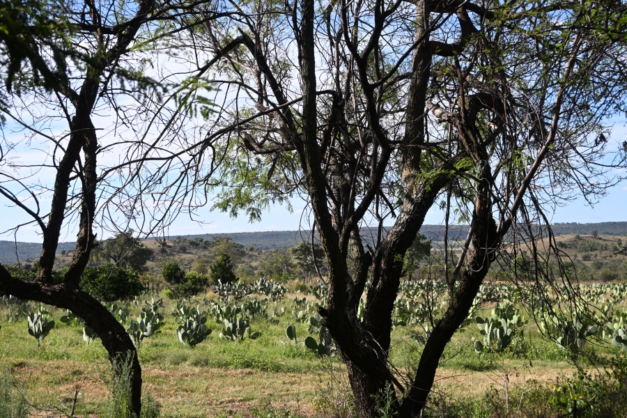 3 Bedroom Property for Sale in Kameelfontein Gauteng