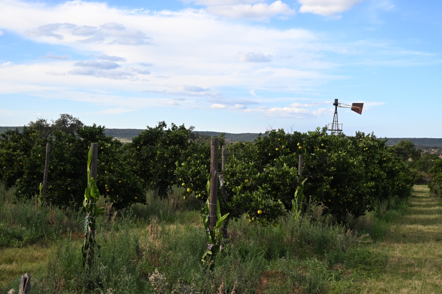 3 Bedroom Property for Sale in Kameelfontein Gauteng