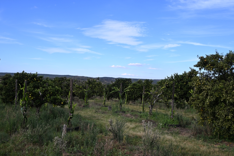 3 Bedroom Property for Sale in Kameelfontein Gauteng